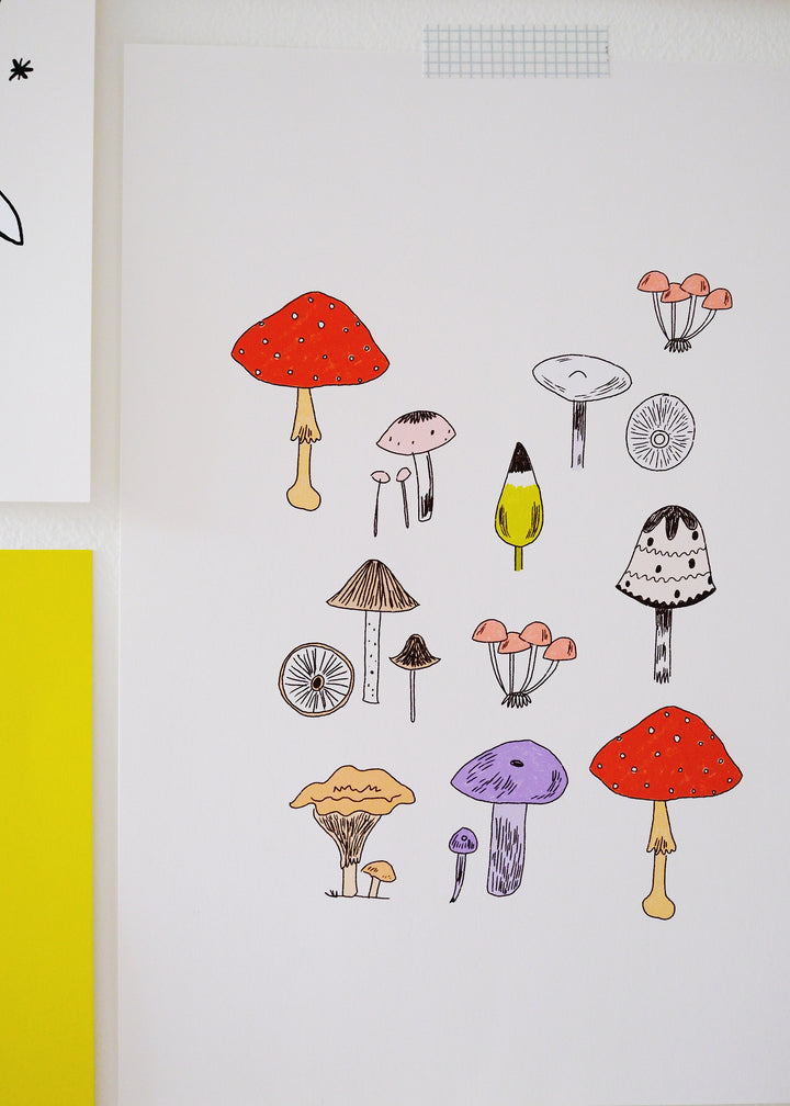 Mushrooms Illustrated Art Print